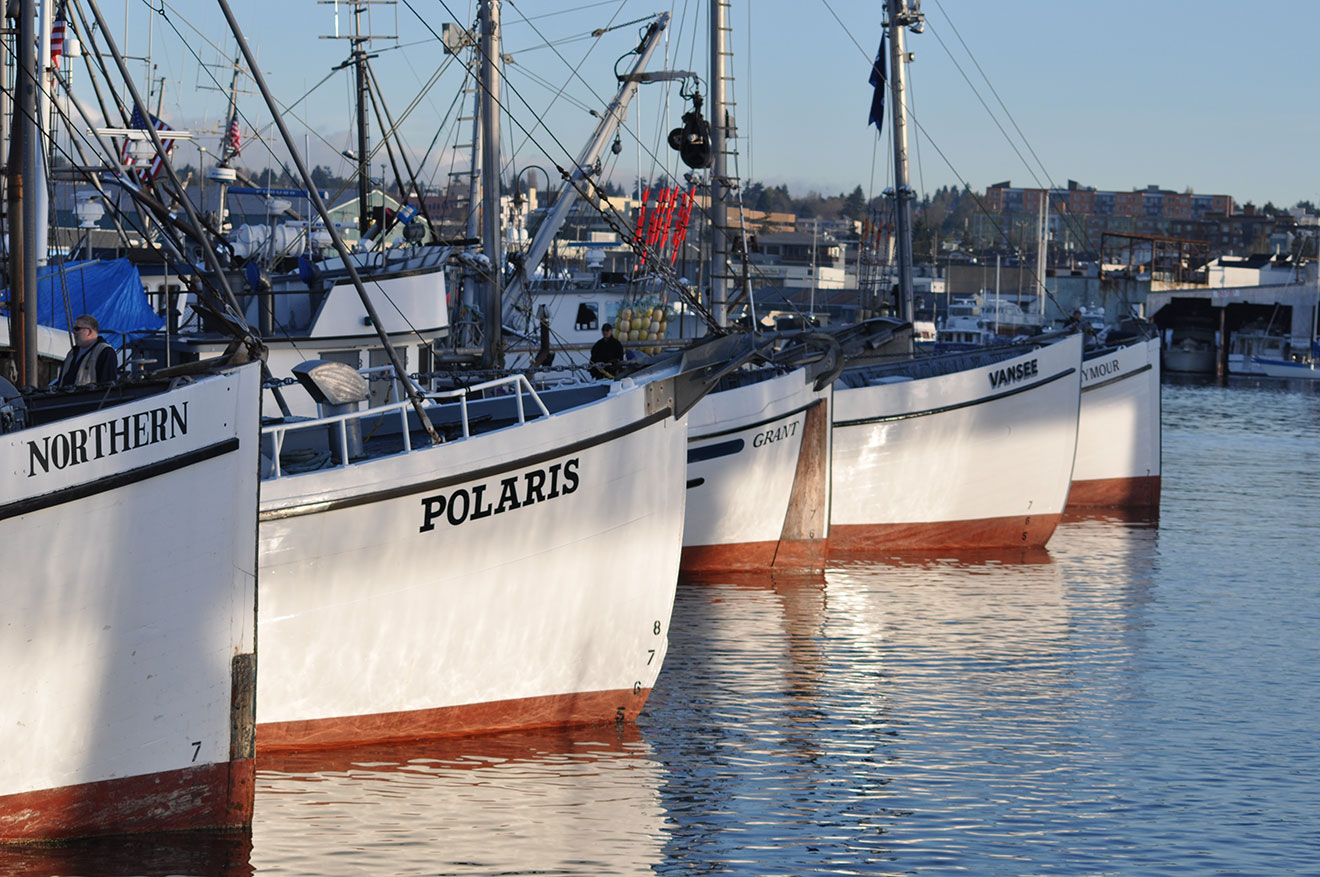 Fishing Vessels lined up